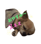 はぴはぴはぴちゃん（個別スタンプ：7）