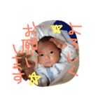 25685h（個別スタンプ：4）