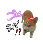ルル と ララ（個別スタンプ：3）