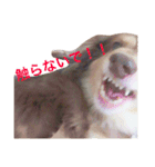 ルル と ララ（個別スタンプ：4）