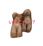 トイプードルのアポコロちゃん。秋編（個別スタンプ：6）