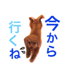 n-na（個別スタンプ：4）