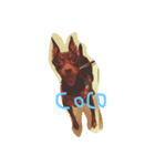 cocophoto（個別スタンプ：1）