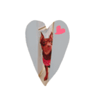 cocophoto（個別スタンプ：4）