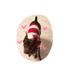 cocophoto（個別スタンプ：6）