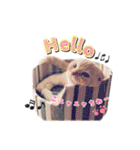 ねこまみれ♪（個別スタンプ：2）