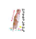 ねこまみれ♪（個別スタンプ：7）