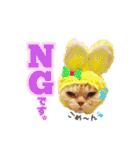 ねこまみれ♪（個別スタンプ：13）