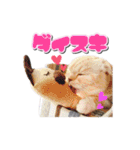 ねこまみれ♪（個別スタンプ：14）