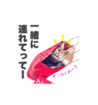 ねこまみれ♪（個別スタンプ：21）