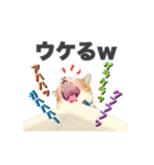 ねこまみれ♪（個別スタンプ：24）