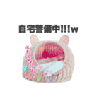 ねこまみれ♪（個別スタンプ：25）