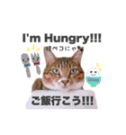 ねこまみれ♪（個別スタンプ：32）