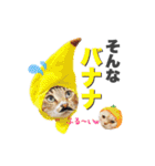 ねこまみれ♪（個別スタンプ：35）