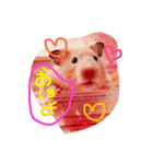 みっちゃんちのハムスター(   * ॑ω ॑*)（個別スタンプ：1）