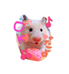 みっちゃんちのハムスター(   * ॑ω ॑*)（個別スタンプ：3）