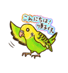 順子ちゃんのセキセインコ（個別スタンプ：3）