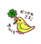 順子ちゃんのセキセインコ（個別スタンプ：4）