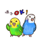 順子ちゃんのセキセインコ（個別スタンプ：5）
