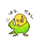 順子ちゃんのセキセインコ（個別スタンプ：7）