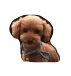 My DoG BLUE（個別スタンプ：7）
