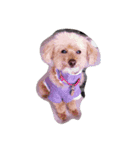 My DoG BLUE（個別スタンプ：8）