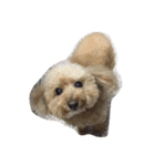 My DoG BLUE（個別スタンプ：10）