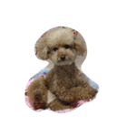 My DoG BLUE（個別スタンプ：11）