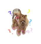 あずちゃちゃ（個別スタンプ：2）