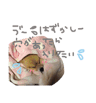 あずちゃちゃ（個別スタンプ：3）
