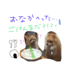 あずちゃちゃ（個別スタンプ：5）