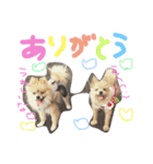 あずちゃちゃ（個別スタンプ：8）