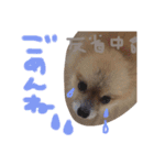 あずちゃちゃ（個別スタンプ：9）