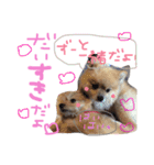 あずちゃちゃ（個別スタンプ：10）