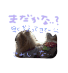 あずちゃちゃ（個別スタンプ：11）