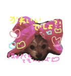 あずちゃちゃ（個別スタンプ：12）