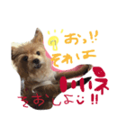 あずちゃちゃ（個別スタンプ：13）