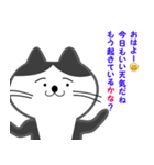 オジサン会話のネコ（個別スタンプ：1）