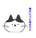 オジサン会話のネコ（個別スタンプ：16）
