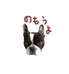 チャミフレンズ1（個別スタンプ：4）