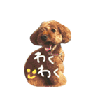 チャミフレンズ1（個別スタンプ：14）