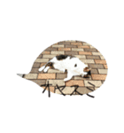 チャミフレンズ1（個別スタンプ：39）