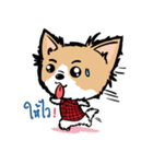 Khaoyen ＆ Friends V.2 TH（個別スタンプ：13）