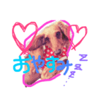 はくらむじょーてん（個別スタンプ：5）