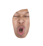 mood 24/7（個別スタンプ：5）