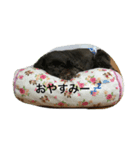 アクア＆バニラ（個別スタンプ：8）