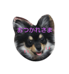 こなちゃんのスタンプ（個別スタンプ：1）