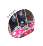 こなちゃんのスタンプ（個別スタンプ：7）