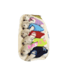 パルパル508（個別スタンプ：12）