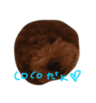 デカプーCOCOちゃん（個別スタンプ：3）
